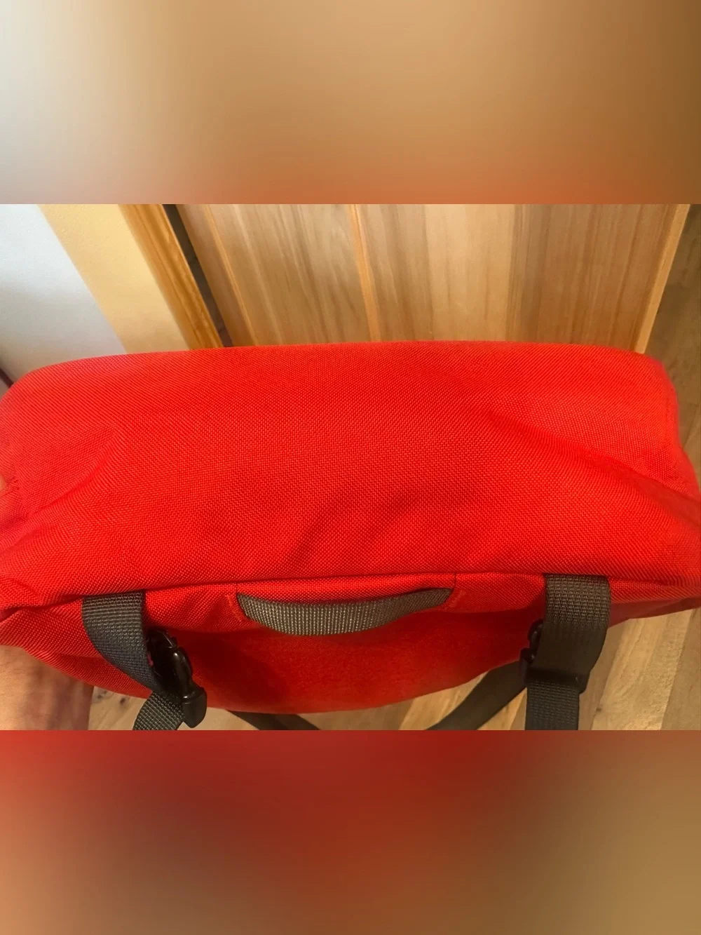 Patagonia Red Mini Mass